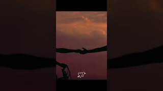 Version 3 of the video
