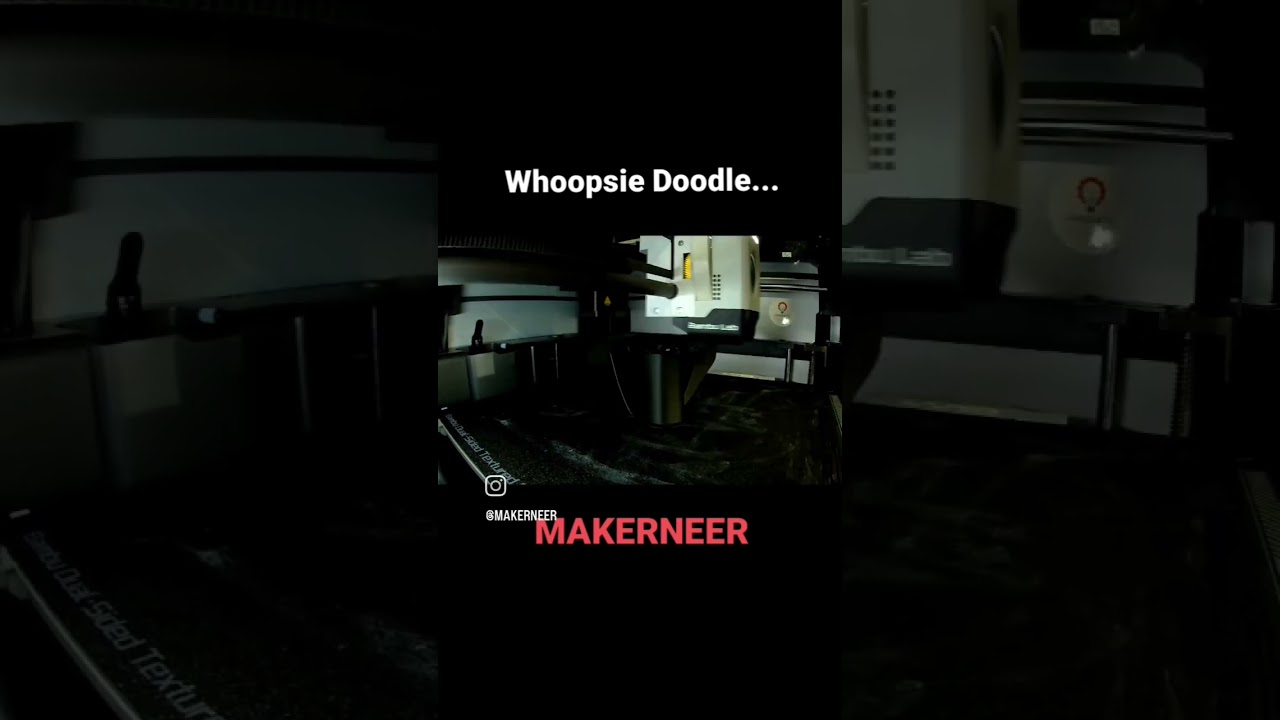 Whoopsie Doodle - I screwed that one up! 