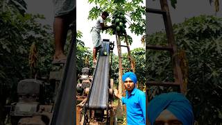 😱 Kisan ka naya Idea 💡#shortsfeed #india #shortsvideo #views #viral #ai #aishorts #kisan