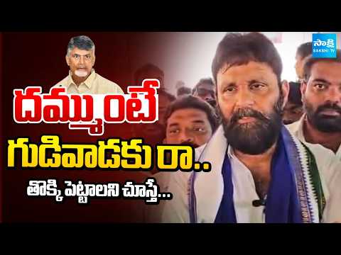 దమ్ముంటే గుడివాడకు రా: Kodali Nani Open Challenge To Nara Lokesh, Chandrababu | AP DSC SCAM - SAKSHITV