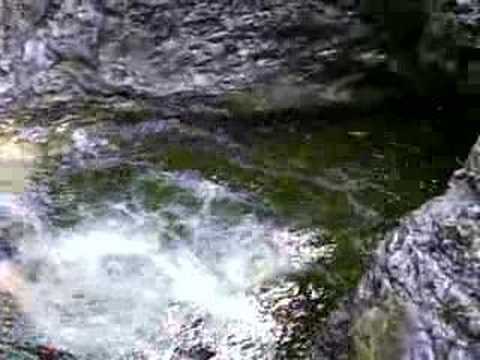 Gumpn Springen Glashütte