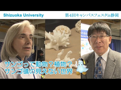 サンゴって動物 植物 サンゴ礁の見えない世界 キャンパスフェスタ 14 静岡大学 Youtube