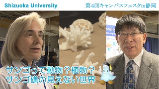 サンゴって動物 植物 サンゴ礁の見えない世界 キャンパスフェスタ 14 静岡大学 Youtube