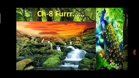 Env For Class 3 | Ch: 8 Furrr.... By Vandana ms