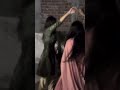 diwali celebration 🎉