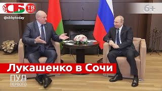Успел ли Лукашенко окунуться в Черное море