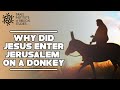 Why did Jesus enter Jerusalem riding a donkey? Jerusalem In The Footsteps of Jesus. eTeacherBiblical