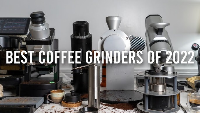 Electric Coffee Grinder Professional Flat Burrs 31 Grind Settings –  TheWokeNest