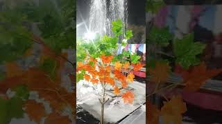 Rajasthani favara #viral ##lightdecoration #tent #favara