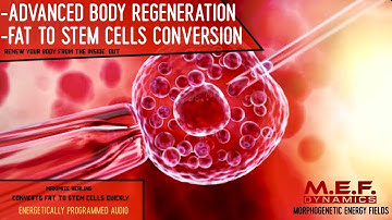 Fat to Stem Cells Conversion