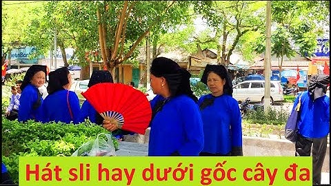 Hát sli mới nhất ngày 12/5 - Ngồi hát sli dưới gốc cây đa
