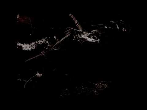 Deliluh - Oath Of Intent (Official Video)