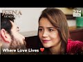 Building a Home for Her 🏡❤️ - Vendetta Urdu Dubbed | Kan Cicekleri | UH2X