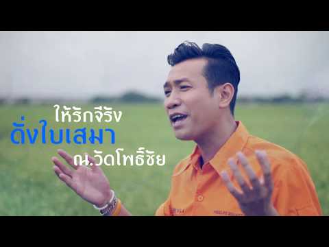 สัญญารักฟ้าแดดสงยาง -  ศรีไพร สารีวงษ์ 【OFFICIAL LYRIC VIDEO】