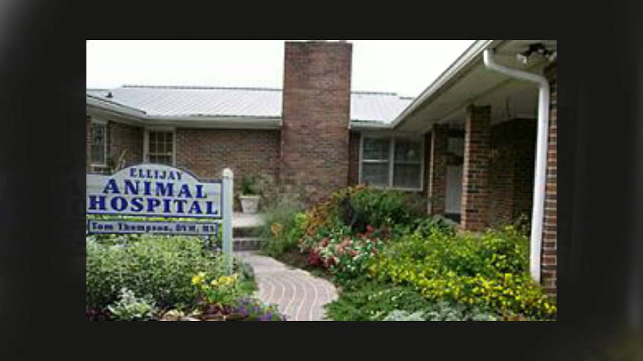 Reviews for Ellijay Animal Hospital Ellijay, YouTube