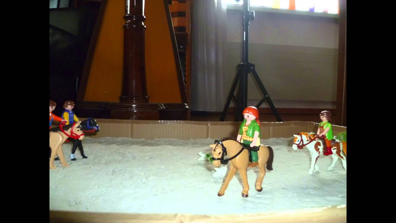 Calendrier Le cheval et ses amis 2024: COLLECTIF: 9782816021356