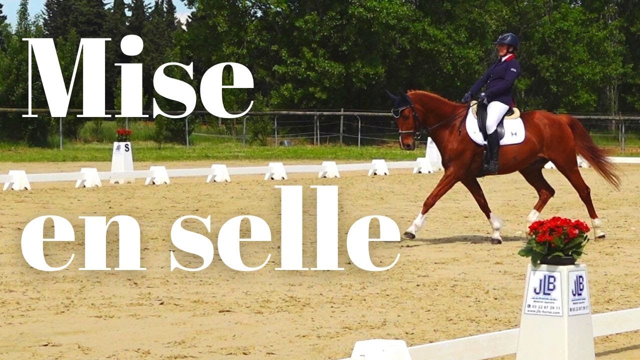 Equitation : avez vous une bonne assiette ? - YouTube