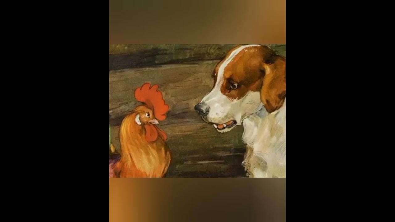 Петух и собака конспект урока 1 класс. Петух и собака. Петух да собака. Иллюстрация к сказке про собаку.