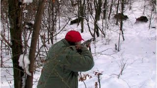 Hunting Serbia - Wild boar 4 | Lov na divlje svinje Mladenovac | Caccia ai cinghiali
