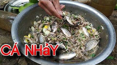 ĂN CÁ RÔ PHI SỐNG  |  Hoa Ban Núi