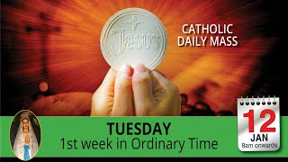 Catholic Mass Online 12th January 2021