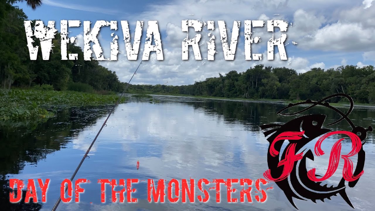 Fishing Wekiva River YouTube