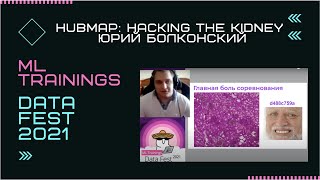 картинка: HuBMAP: Hacking the Kidney — Юрий Болконский