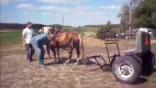 Kado's 1st Cart Hitch.wmv