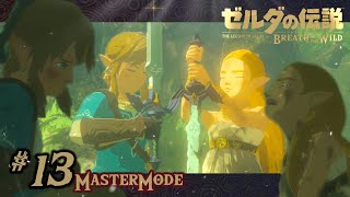 #13【ゼルダの伝説BotW】時系列順に全ウツシエの記憶集め。と、パーヤの日記。【ゼルダとの思い出】