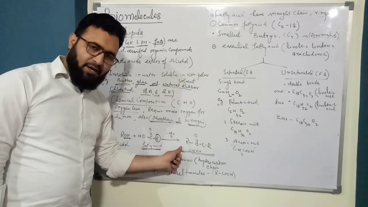 Biomolecules lipids class 11th Hindi /urdu YouTube