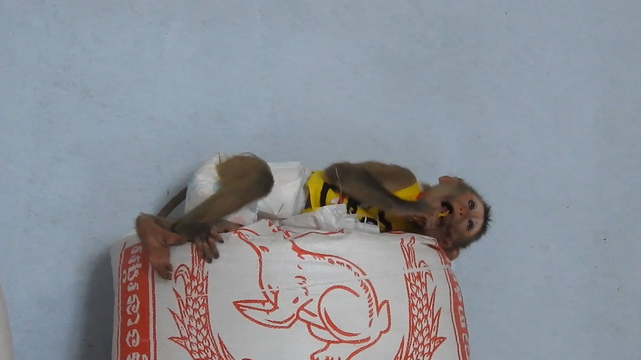 Wow So Funny!! Sister Ploy Relaxing Style After Get Full Milk