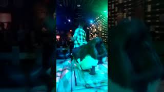 Pbr Pittsburgh 080721