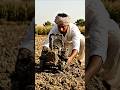 😱Ae kya hua mehnati kissan ke Real😱Farmer Life"या किसान की असली मेहनत  | Ground Reality of Farming😢