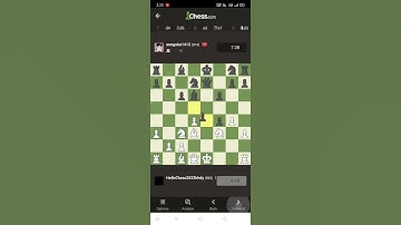 checkmate ✅ [1]chess