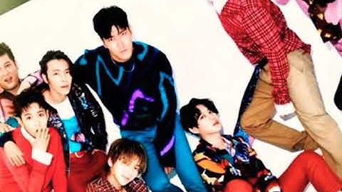 SUPER JUNIOR: 2018 Members Portfolio