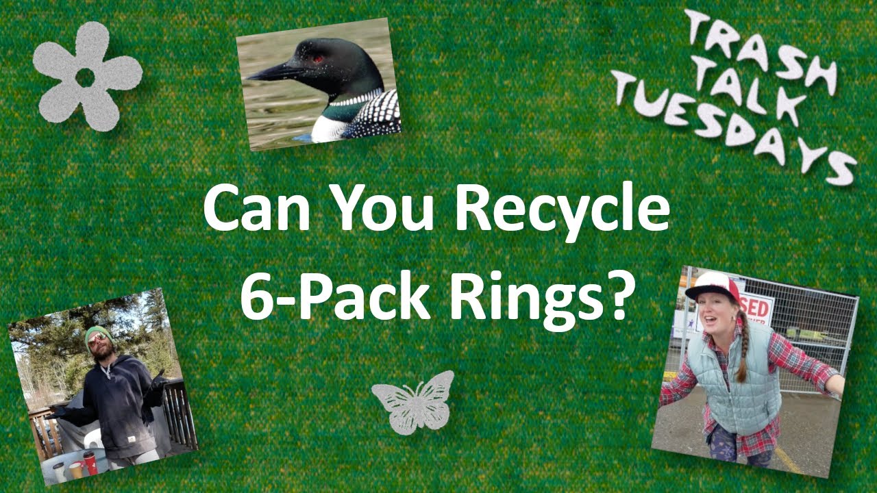 Can You Recycle 6Pack Rings? YouTube