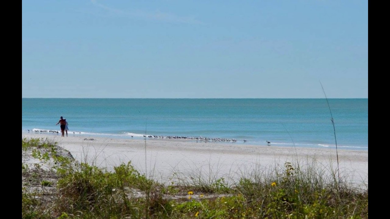 Seaside Seabird Sanctuary Indian Rocks, Florida