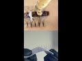 Exercise on eyelash direction