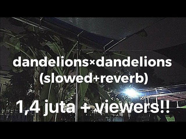 dandelions × dandelions (slowed+reverb) class=