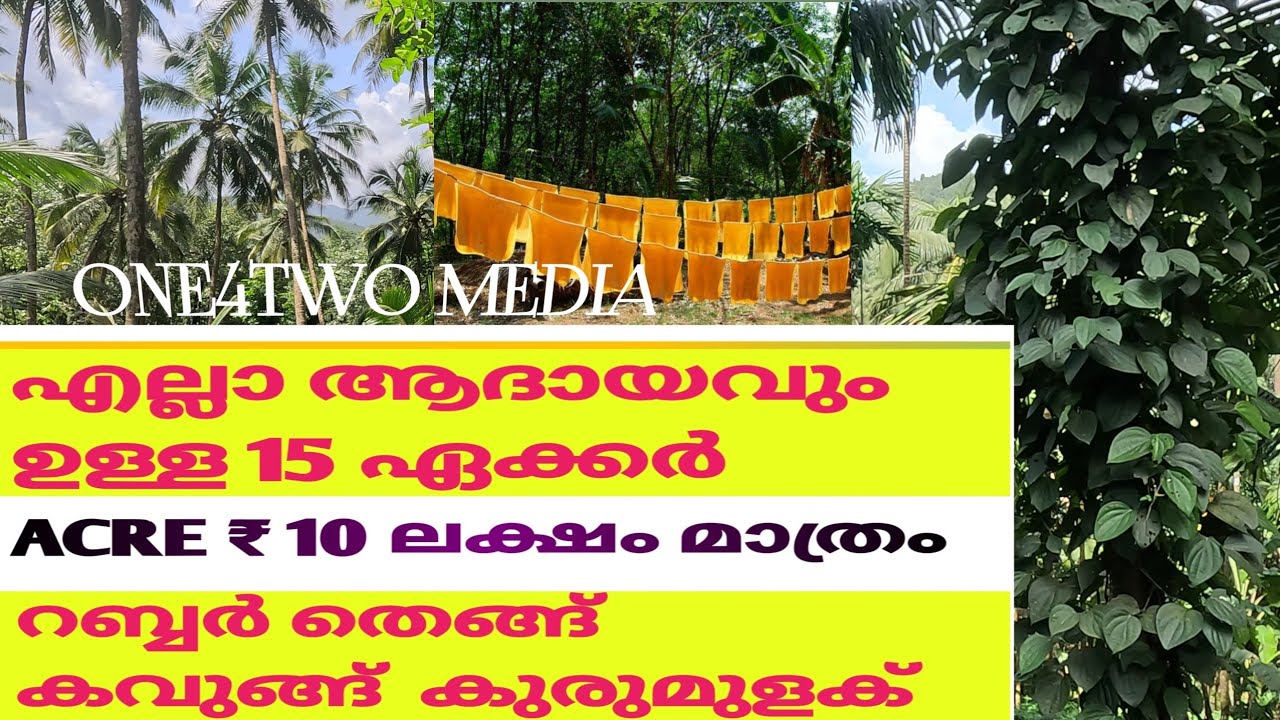 ഏക്കർ 10 ലക്ഷം റബ്ബർ തെങ്ങ് കവുങ്ങ് വഴി വെള്ളം /ONLY 10 LAKH PER ACRE