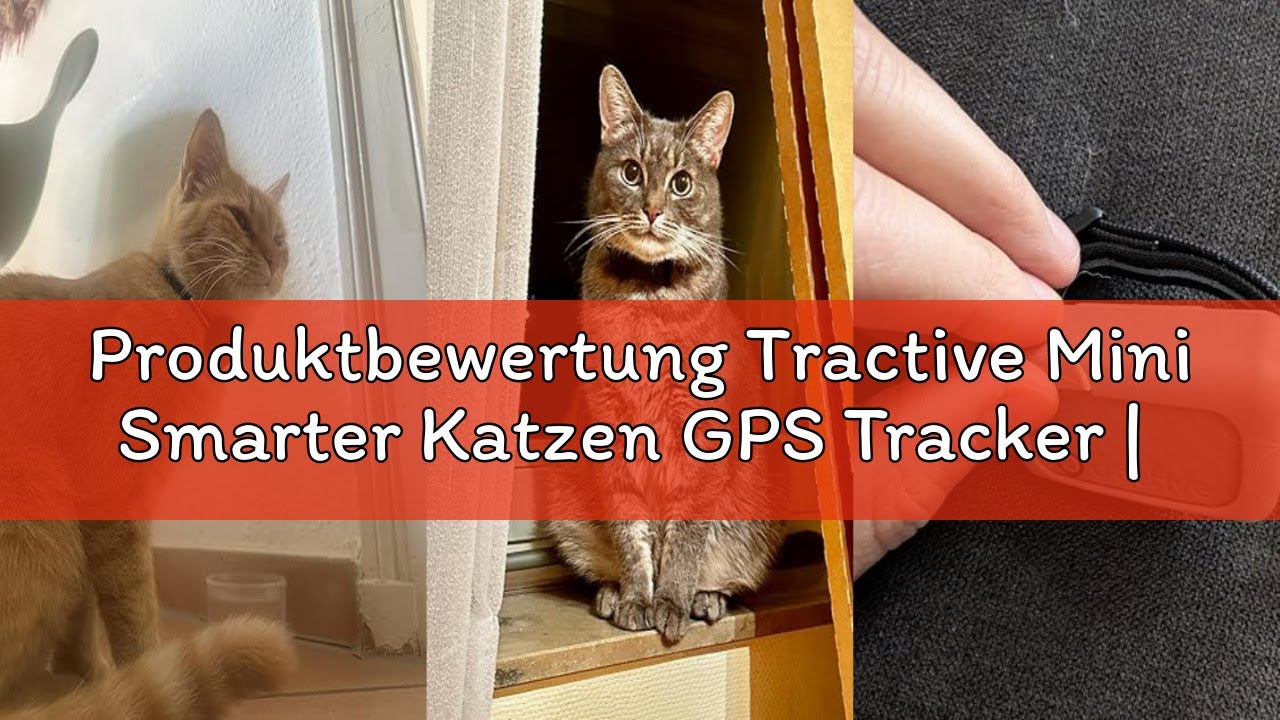 Produktbewertung Tractive Mini Smarter Katzen GPS Tracker | Marktführer GPS Tracker Katze | Live-Ort