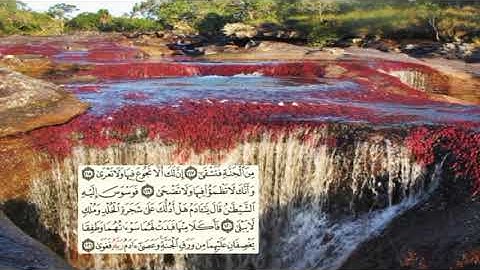 320-page سعد الغامدي - -سورة طه Ta-Ha-20