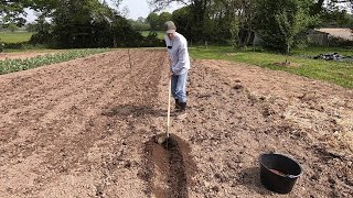 Pour planter des patates, un bon 42 fait l'affaire ! + le semis du maïs et la sélection des semences