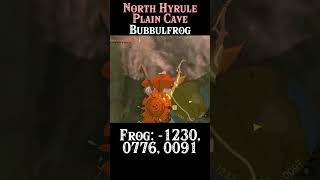 Where To Find North Hyrule Plain Cave Bubbulfrog | #Zelda Tears of the Kingdom #totk