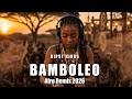 GIPSY KINGS – BAMBOLEO 🔥🌍 | Trending On Spotify & Billboard This Week