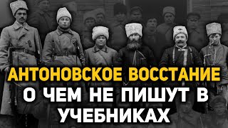 Тамбовское Восстание Крестьян 1920-21 Года. Почему Началось И Как Было Подавлено