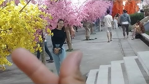 PHÁO HOA ĐẦU NĂM 2023 GÒ CÔNG. #tuannguyen #mientay #cauca #cathoiloi #amthuc