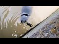次々と巨大魚が荒れ狂う‥衝撃の釣りが存在した