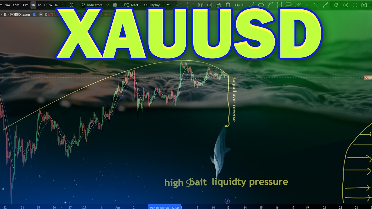 XAUUSD Analysis Today : Pullback Trading Strategy Explained in GOLD ...