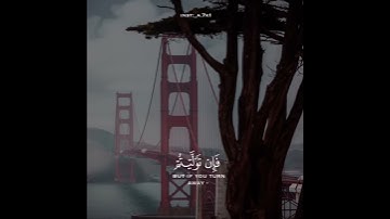 وأطيعوا الله وأطيعوا الرسول رعد الكردي سورة التغابن تلاوة هادئة حالات وتس اب
